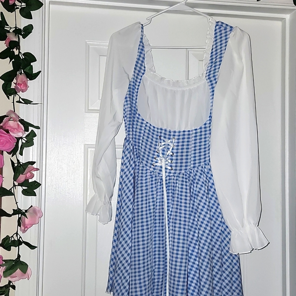 Elegant Blue Gingham Dress with White Blouse
